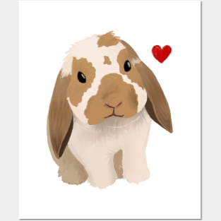 Holland Lop Barry Posters and Art